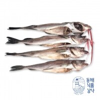 [동해식품상사] 명품 반건조 깔끔 코다리(4마리-44~48cm)
