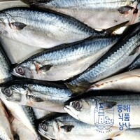 [동해식품상사] 국내산 고등어 4마리(무료배송 이벤트중)