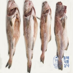 [동해식품상사] 국내산 동해 손질 대구(급냉)